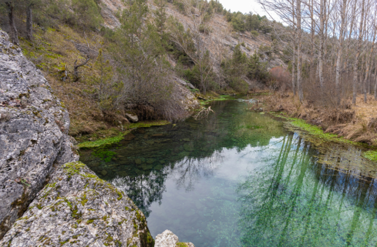 Acuífero tonos verdes y marrones