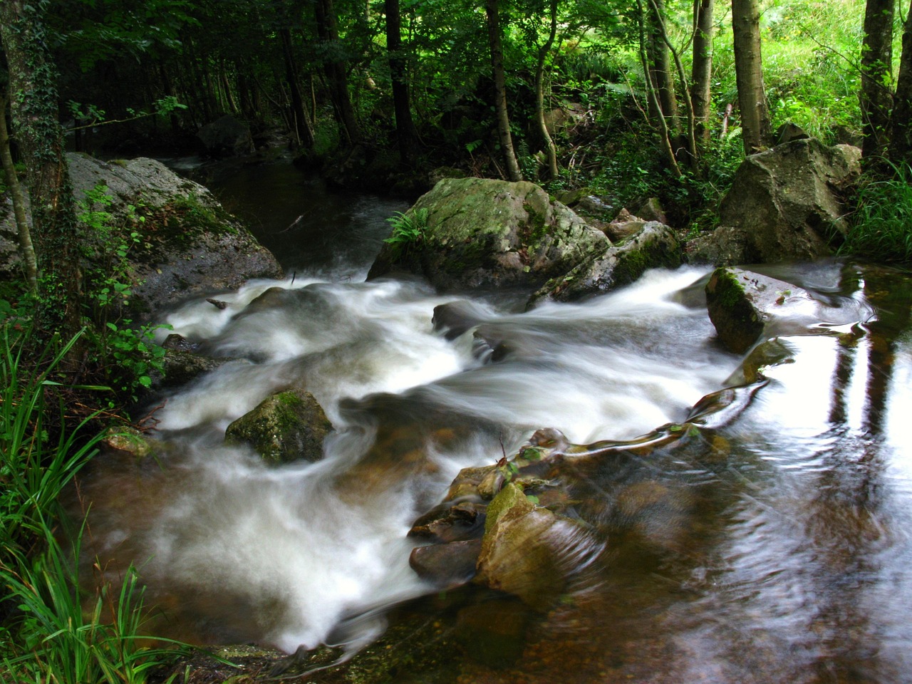 Imagen para portada de artículo sobre agua y constitución que muestra rocas y río