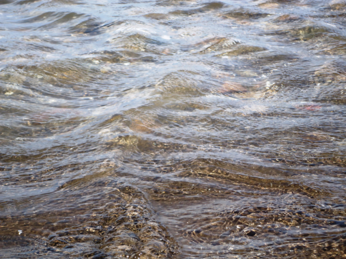 Agua en río muy transparente