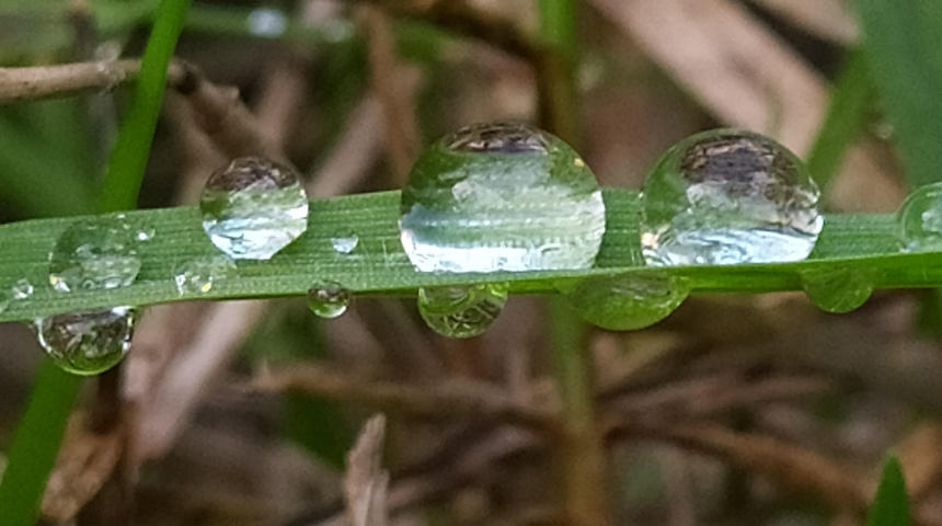 Imagen de agua con tonalidades verdes