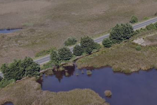 Portada del informe final de la publicación sobre la propuesta de humedales urbanos