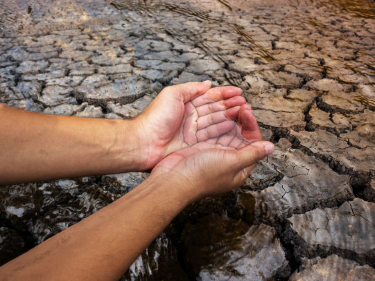 Imagen que representa dos manos recogiendo agua