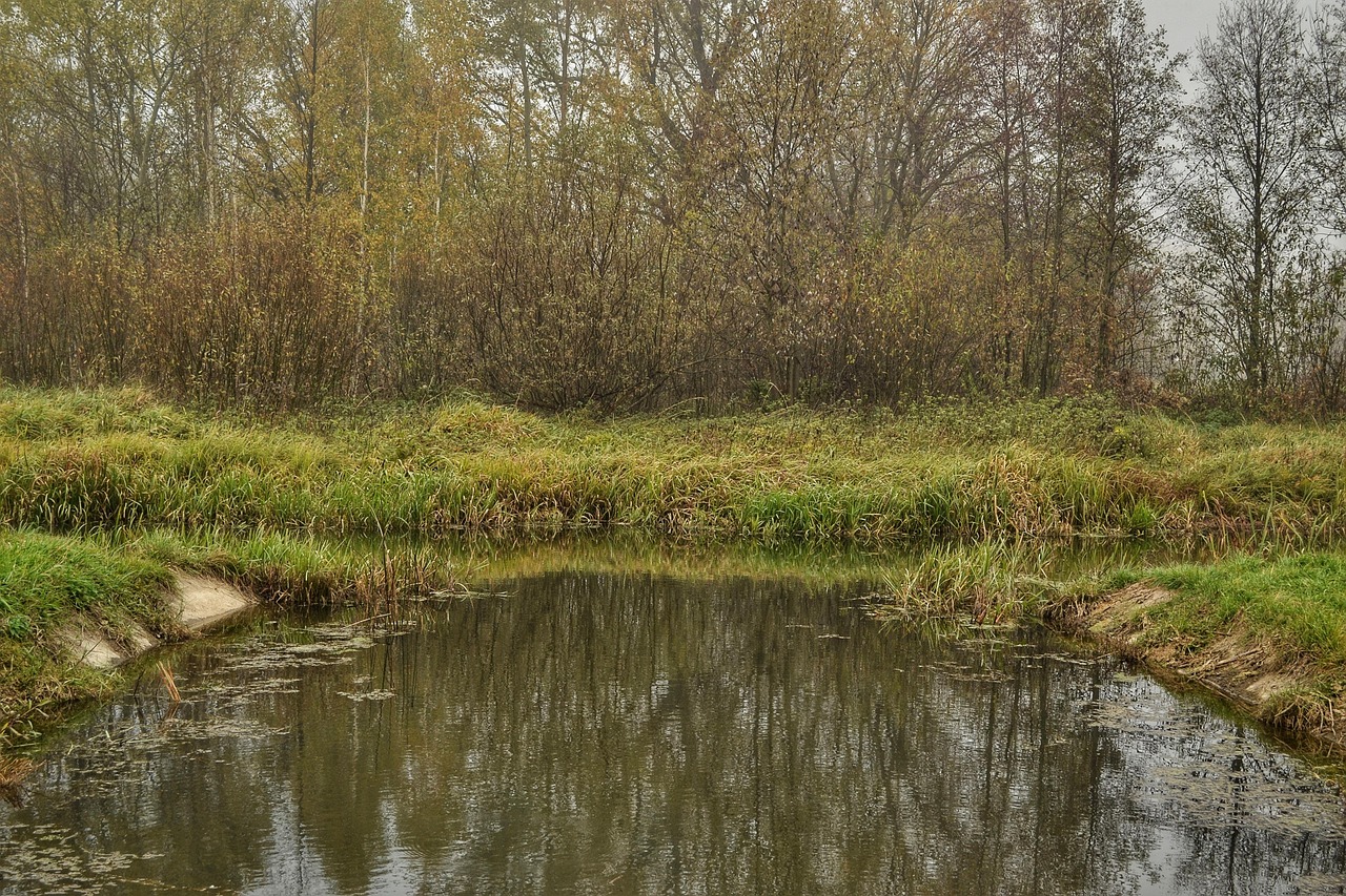 Imagen fondo verde con lago para portada de publicación editada por el CDGA