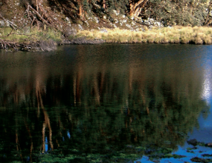 Imagen de un río con vegetación a los lados que corresponde a portada de publicación