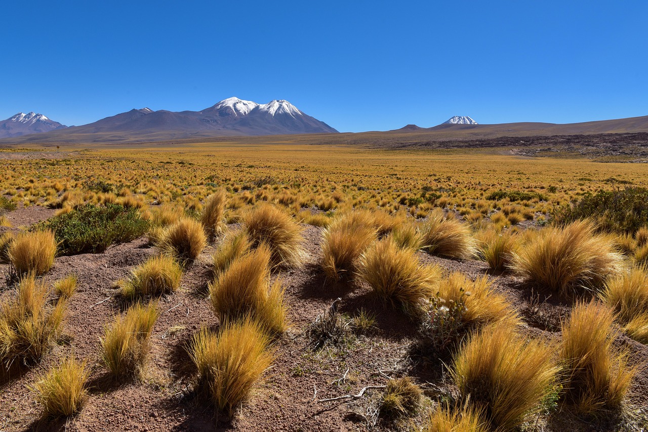 Imagen de Chile que muestra geografía diversa