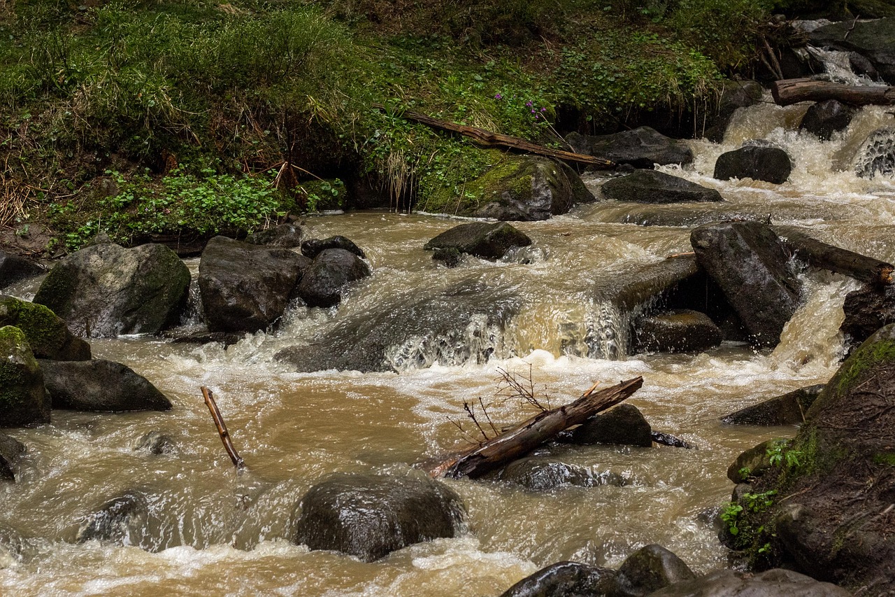 Imagen de río con piedras grandes para portada de artículo
