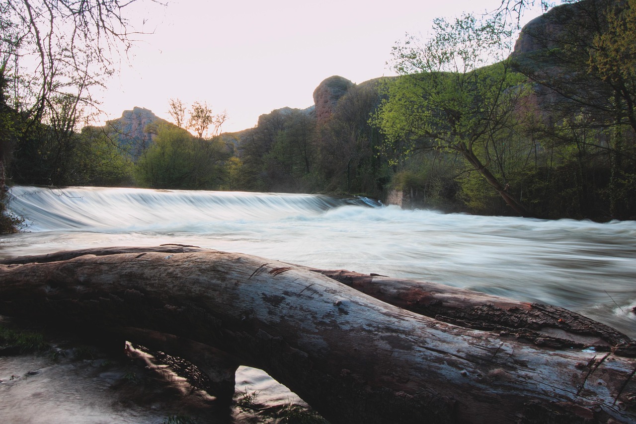 Imagen de naturaleza, agua, vegetación, derecho humano al agua
