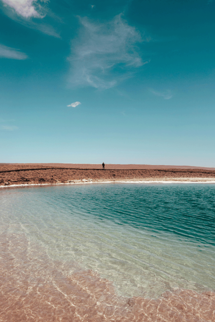 Paisaje de una laguna