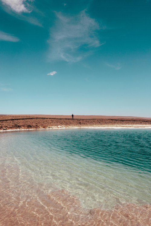 Paisaje de una laguna